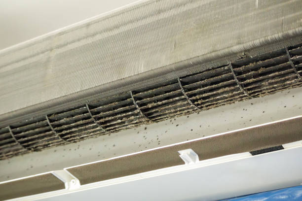 Best Professional Duct Cleaning Services  in Celoron, NY